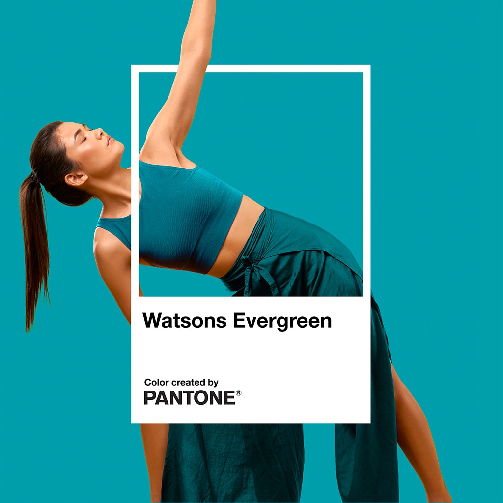 Watsons Evergreen